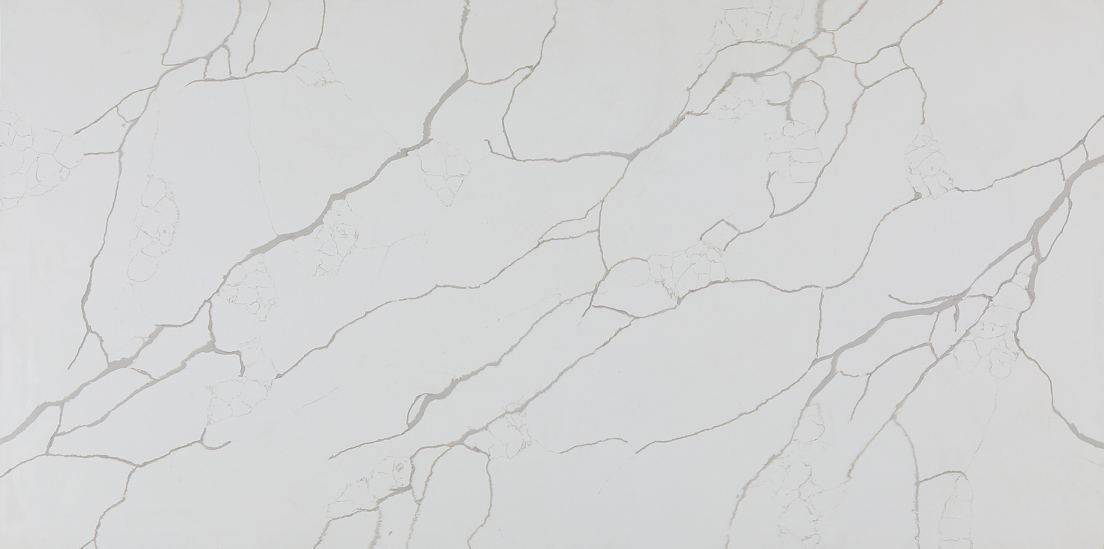 Calacatta Classic 1003 