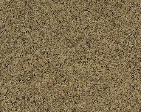 Oliva 0932 3