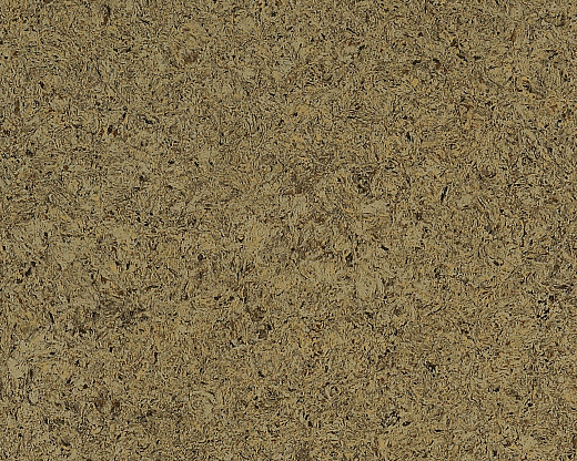 Oliva 0932