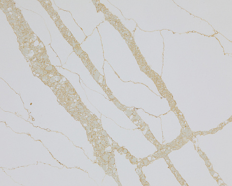 Calacatta Gold 3213 2
