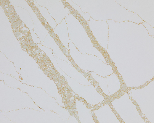 Calacatta Gold 3213