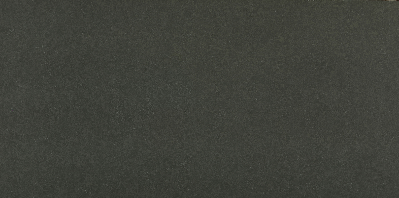 Adara 6008 