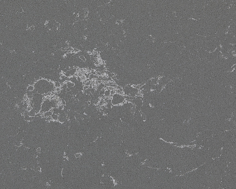 Carrara Grey 2323 5