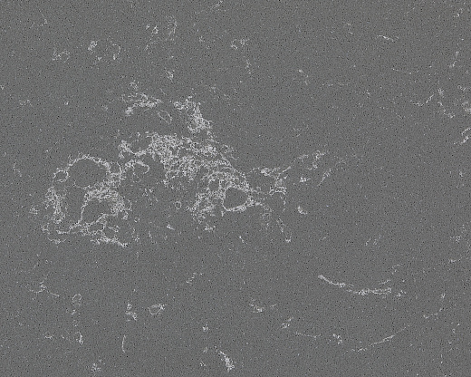 Carrara Grey 2323