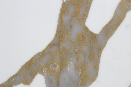 CALACATTA KARTIA GOLD 0888