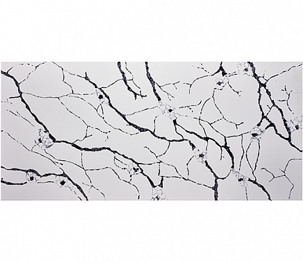 Calacatta Viana 6033 1